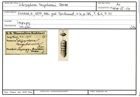 Karteikarte zum Abbildungsoriginal von Schizophora neugeboreni Reuss, 1861